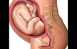 原创临近预产期，准妈妈有这些感觉，说明胎儿宝宝要出生了