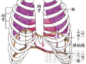 哪种检查可以发现早期癌症