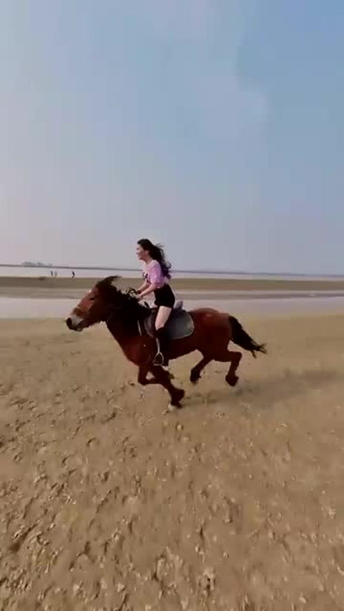 实拍美女骑马,看着这一幕,美女骑马的姿势有点特别 