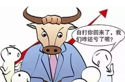 为什么中国牛市散户亏损更多