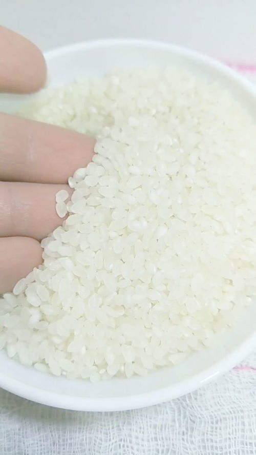 大米生虫子就不能吃了,这样做,大米就不会生虫子了 