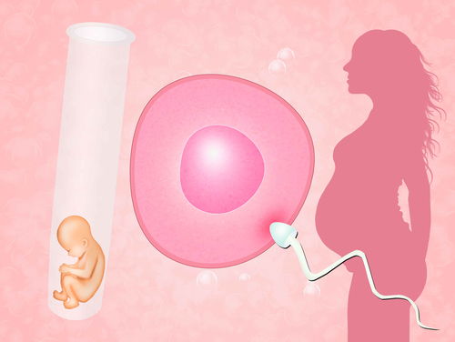 试管婴儿想要达到好的促排卵效果做到这些很重要？