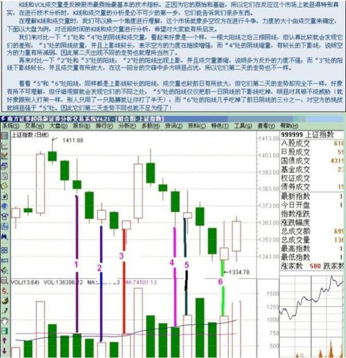 股票研究 是如何收集、整理历史数据的，现在的软件这方面都不是很方便的，还有人使用手工作图吗？