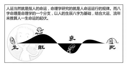 看图学命理八字,十分钟道尽命理天机 好料干货 