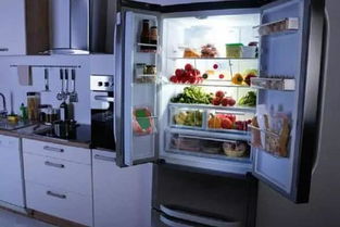 冰箱用久了细菌大量滋生 5种 垃圾 放冰箱,还你一个干净的冰箱