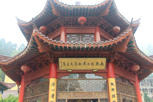 浙江一座免费的寺庙,始建于1500多年前,是本地闻名的佛教胜地