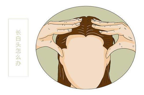 白头发拔一根长十根 越长越多的白头发,说明身体缺少维生素