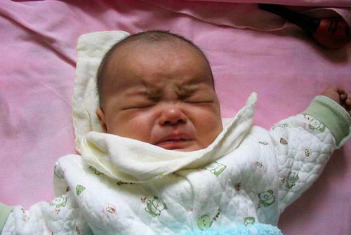婴儿研究报告 宝宝一哭就抱,有科学依据,多抱会促进 脑发育