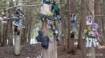 几千元的鞋子挂满树上这是为什么