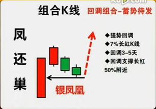 股民成功赢利案例