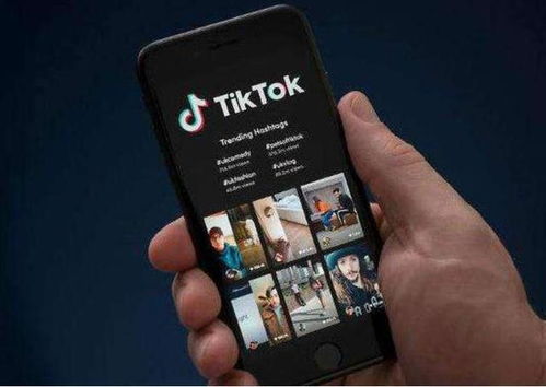 TikTok广告账户的开通及审核_tiktok海外广告