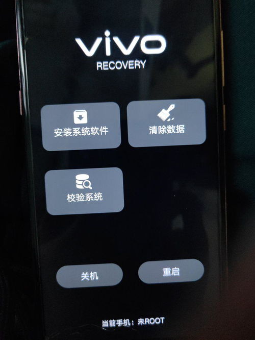 vivo手机卡在这个界面 屏幕点了没用 还有音量键和开关键 