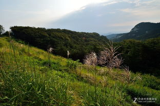 蒙阴县蒙山景区介绍蒙阴蒙山景区门票多少(蒙山免费停车场有哪些地方)