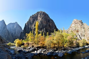 什么影入平羌江水流——探寻诗境中的山水之美与人文之韵，什么影入平羌江水流上一句