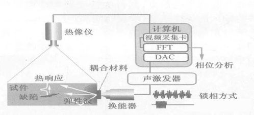 揭秘红外热成像技术：能否有效检测癌症？