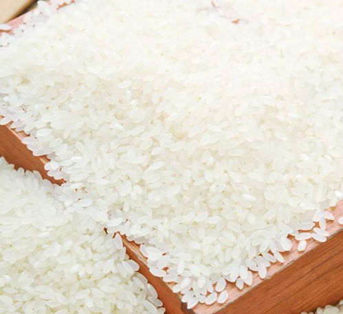 中国 知名度最高 的大米,米香浓郁,不吃菜也能多吃一碗