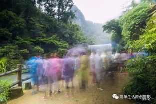 诗和远方 多 雨 贵州行 