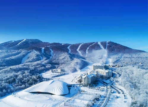 冰雪之冠 黑龙江邀约海内外游客云享冰雪旅游