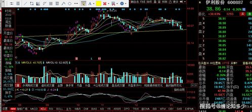 对伊利股份分别进行K线、均线近期走势分析，请用文字说明，急呀