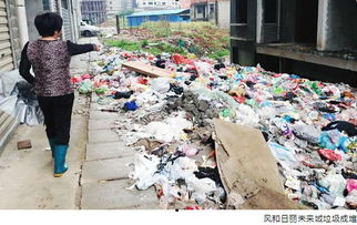 阳新未来城小区内垃圾成堆 市民无奈搬回老房居住