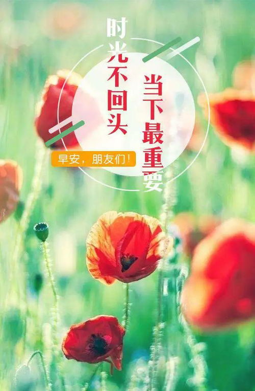 请你不要绝望,再试一次,成功一定属于你,早安 人生路 