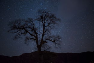 唯美梦幻的双子座流星雨全纪录 