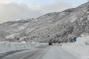 意大利地震引发雪崩 已致30人遇难 