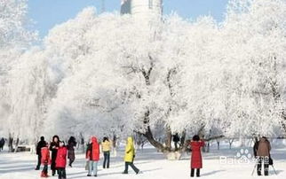 什么时候适合看雪景 看雪景要注意什么 