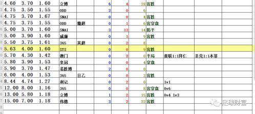 欧赔89体系赔率怎样技术