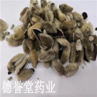 辛夷花中药 搜狗图片搜索