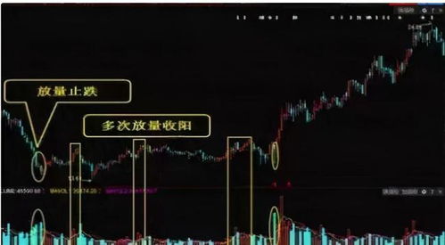 行情不好时，一只股票跌到什么价格才算基本到底部去区域了？