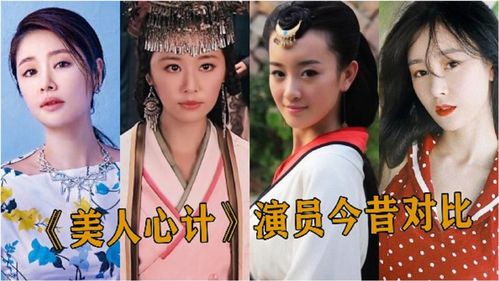 美人心计演员(美人心计演员表)