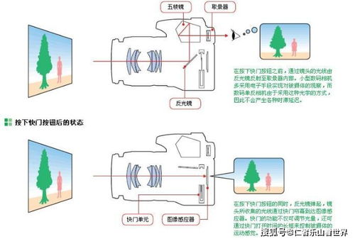 单镜头反光相机