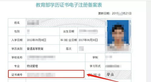 学籍号 学历证书编号 在线验证码如何获得