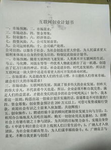 大家对这个创业计划书有什么样的看法 