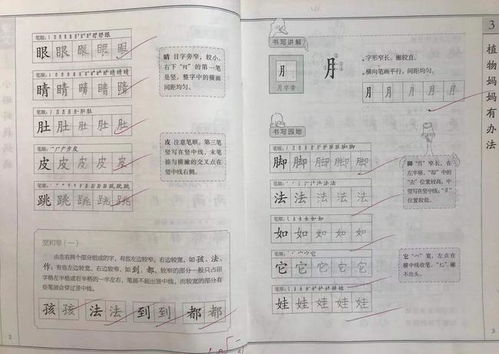 不练字也能把字写好看,这位学生就做到了,因为他会多留意这一点