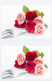 一束玫瑰花图片素材一束玫瑰花背景素材 信息阅读欣赏 信息村 K0w0m Com