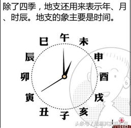 自从我明白了天干和地支的意象,才真正开始了周易自学之路