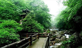 青城山都江堰小众徒步路线推荐(都江堰景区后门免费停车场)