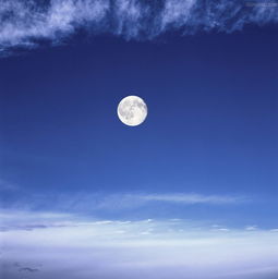 梦见白天的月亮很圆(梦见白天有圆月)