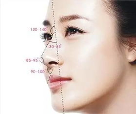 隆鼻整形与鼻综合整形的差别