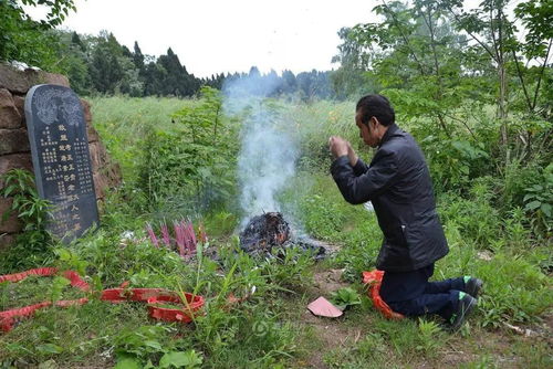 如果你是在外地生活，清明不能亲自去先人的墓地扫墓，你会以什么方式纪念先人呢