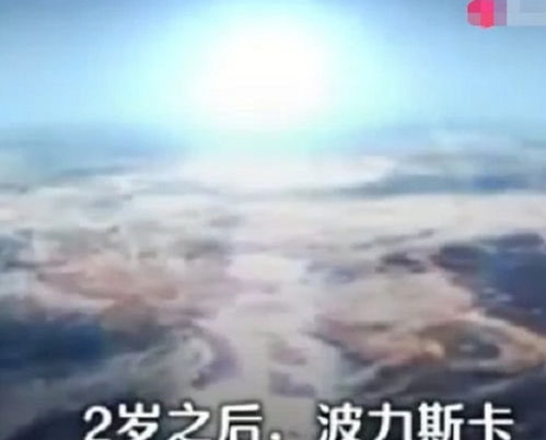 3岁男童自称火星人转世,要找一个中国人,霍金曾敬佩过他