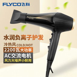 Flyco 飞科FH6101电吹风家用发廊大功率吹风机负离子冷热风吹风筒