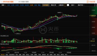 莱特币12月最新行情,莱特币今日最新行情价格