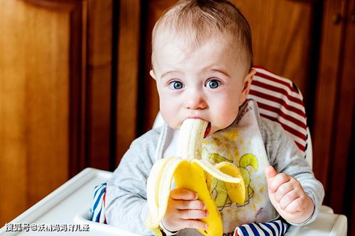 宝宝可以吃香蕉吗 7款香蕉营养辅食,钙铁双补 简单易学