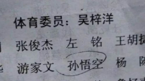 爸爸给儿子取名 言朗 ,还沾沾自喜,妈妈冷笑 瞅瞅你自己姓啥