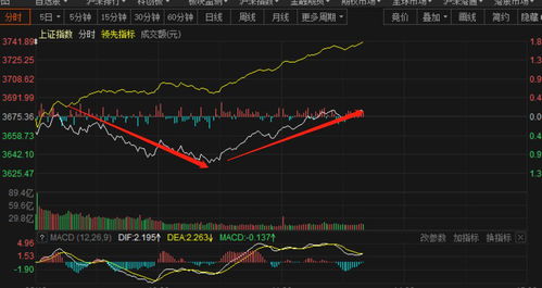 怎样在网上炒股?