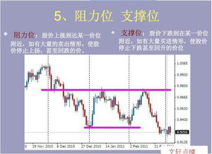 股票的专业用语都有什么啊？