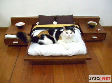 与你同乐们与你同住 猫奴们梦寐以求的家具 